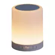 Kendall LED 2W Hangszóróval asztali lámpatest Rábalux 4534
