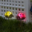 Garden of Eden LED-es szolár katica lámpa hidegfehér 80mAh 75x60x156 mm 11240B