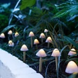 LED-es szolár lámpa - 12 db mini gomba - melegfehér - 28,5 cm x 4 m 11243