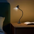 Phenom Flexibilis asztali lámpa 3-5W 500Lm csipeszes USB állítható fényerő és színhőmérséklet LED fém 20258