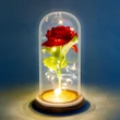 Örökrózsa LED-del 11.5 x 22 cm DA00154