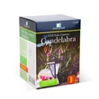 Garden of Eden LED-es szolár lámpa kandeláber 80 cm fekete hideg fehér 11236B