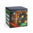 Garden of Eden Szolár bukszus felakasztható 25 cm 20 melegfehér LED 11359