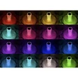 Rózsa hatású RGB LED-es lámpa akkumulátoros akril USB DA01021