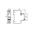 Kanlux kismegszakító 1P B 25A KMB6-B25/1 23147