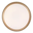 Rábalux Liatris2 mennyezeti LED lámpa 24W 1200lm 4000K D38 5cm szürke mennyezeti lámpa 71185