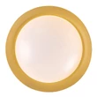 Rábalux Hafsa mennyezeti LED lámpa 20W 1080lm 3000K D30cm fekete/arany mennyezeti lámpa 71188