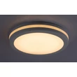Rábalux Indre LED kültéri mennyezeti lámpa 28W 2600lm CCT fehér IP54 77036