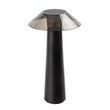 Rábalux Assen LED kültéri dekor lámpa 5W 40lm 3000K fekete IP44 77062