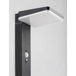 Rábalux Lasset LED kültéri napelemes lámpa 4,4W 200lm 4000K fekete IP54 77079