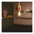 Emos filament LED izzó E27 4,5W 180lm 1800K A60 füst hatású búra Z55311