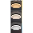 Rábalux Lowar kültéri LED mennyezeti lámpa kerek 12W CCT D24cm IP44 77133