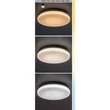 Rábalux Lowar kültéri LED mennyezeti lámpa kerek 18W CCT fehér 28,5x28,5cm IP44 77182