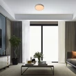 Rábalux Nessira modern megjelenésű kerek mennyezeti lámpa LED 25W 1400lm/2880lm 3000K 71119