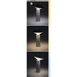 Rábalux Polperro kültéri LED asztali lámpa 3W CCT fekete H21cm IP20 77147