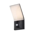 Rábalux Tolna kültéri LED fali lámpa mozgásérzékelővel 10W 3000K fekete H25cm IP54 77172