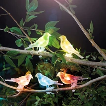 Garden of eden Szolár fényfüzér madárka, csipeszes 80 cm 5 színes, RGB LED 11787