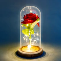 Örökrózsa LED-del 11.5 x 22 cm DA00154