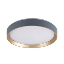 Rábalux Liatris2 mennyezeti LED lámpa 24W 1200lm 4000K D38 5cm szürke mennyezeti lámpa 71185