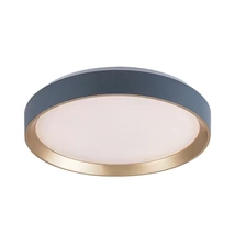 Rábalux Liatris2 mennyezeti LED lámpa 24W 1200lm 4000K D38 5cm szürke mennyezeti lámpa 71185