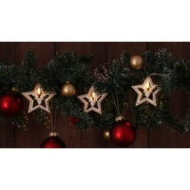 Tracon LED karácsonyi lánc csillag szarvas fa elemes meleg fehér CHRSTSTW10WW