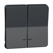 Schneider Electric MUREVA Styl kettős billentyű jelzőfényes antracitszürke MUR34205