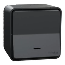 Schneider Electric MUREVA Styl egypólusú nyomó jelzőfénnyel komplett antracitszürke MUR35028
