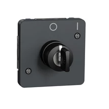 Schneider Electric MUREVA Styl kulcsos kapcsoló 2 állású antracitszürke MUR35062