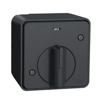 Schneider Electric MUREVA Styl mechanikus időkapcsoló komplett antracitszürke MUR35067