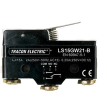 Helyzetkapcsoló, rugószáras LS15GW21-B