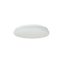 Rábalux Lowar kültéri LED mennyezeti lámpa kerek 18W CCT fehér 28,5x28,5cm IP44 77182
