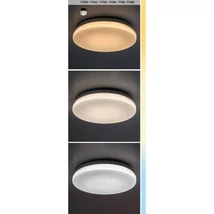 Rábalux Lowar kültéri LED mennyezeti lámpa kerek 18W CCT fehér 28,5x28,5cm IP44 77182