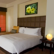 R.4093 Ozone sólámpa E14 15W ~2 kg