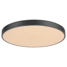 R.3314 Tesia,bel.menny,LED 36W, m.fekete,D40cm