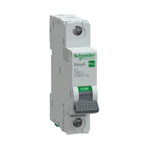 Schneider kismegszakító 1P C 2A 6kA Easy9 Pro EZ9F57102