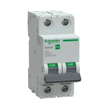 Schneider kismegszakító 2P C 25A 6kA Easy9 Pro EZ9F57225
