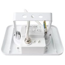 Reflektor Led 30WDW RSMDLFM30