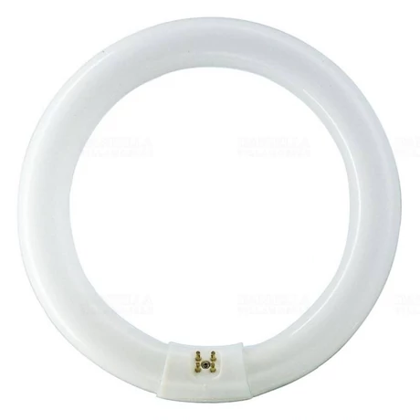 Philips 928027484070 Körfénycső 40W T8 4000K G10q természetes fehér Ra80 TLE840