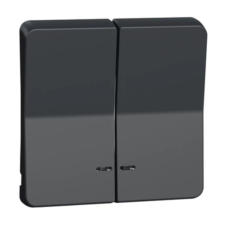 Schneider Electric MUREVA Styl kettős billentyű jelzőfényes antracitszürke MUR34205