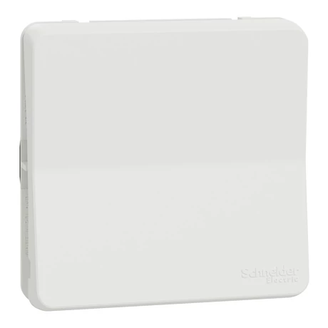 Schneider Electric MUREVA Styl egypólusú nyomó (101n) polárfehér MUR39027