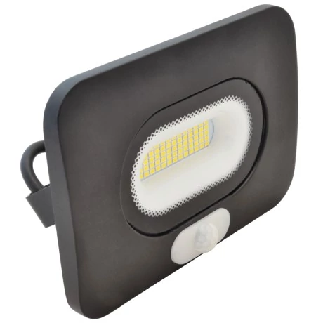 Reflektor Led 10W+m.DWRSMDLM10
