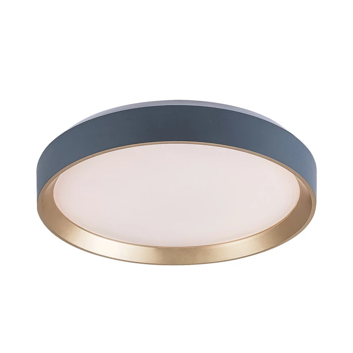 Rábalux Liatris2 mennyezeti LED lámpa 24W 1200lm 4000K D38 5cm szürke mennyezeti lámpa 71185