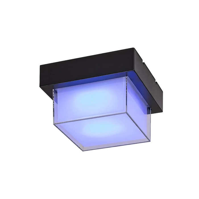 Rábalux Durbe kültéri fali/mennyezeti lámpa fekete IP54 7247