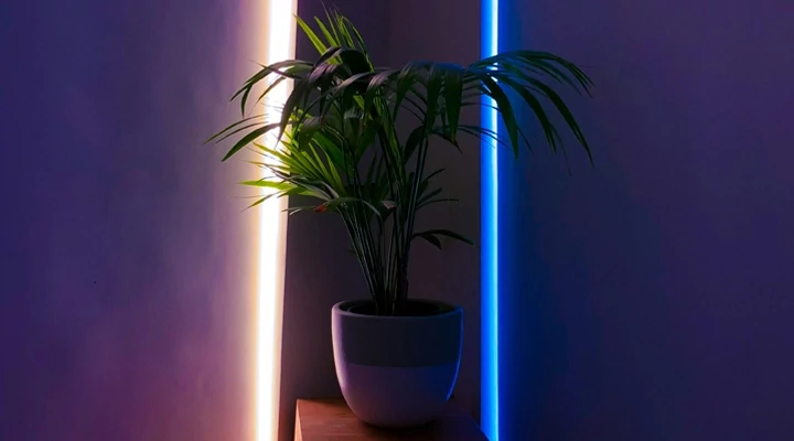 LED szalaghoz tápegység: hogyan számold ki, hogy mire van szükséged?